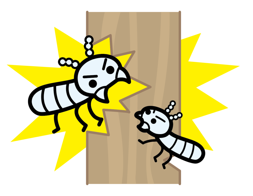 注文住宅　湿気対策　白アリ