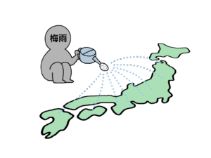 放置NG！梅雨の湿気が引き起こす家の危機とその対処法