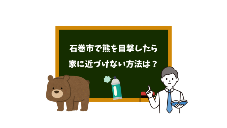 石巻市で熊を目撃したときの対処法を教えます