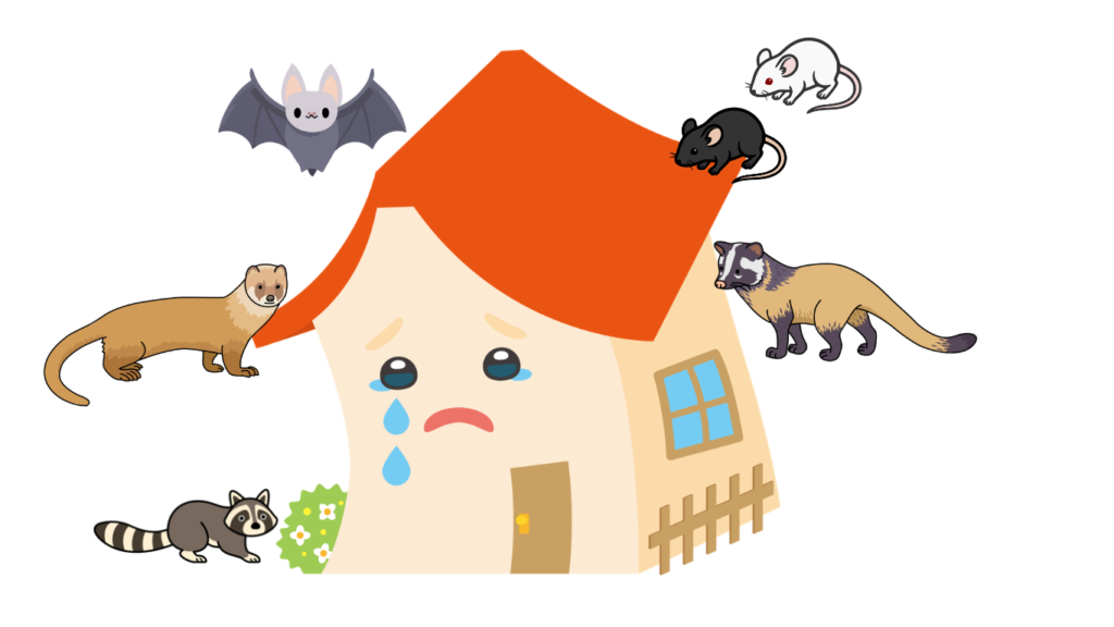 その物音、見逃してない？「害獣」と住まいを守るための話