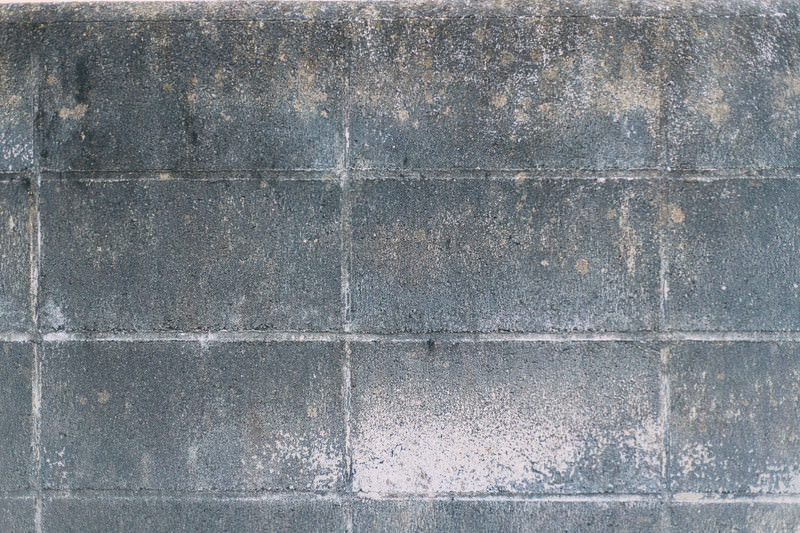 外壁はきれいなのに…実は見られているブロック塀の汚れと正しい掃除方法とメンテナンスを解説