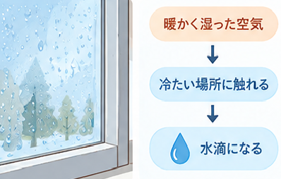加湿によって窓に結露が発生している様子